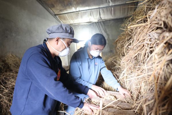 罗光忠指导宋诗燕装仓细节