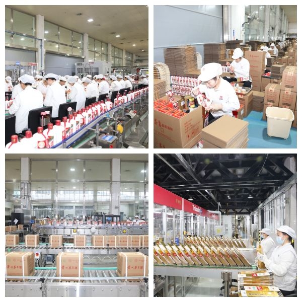 微信图片_20260101155038_4262_3 微信图片_20260101155038_4262_3