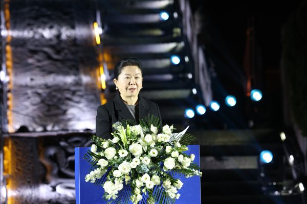 图为中国医药卫生事业发展基金会理事长王丹致辞