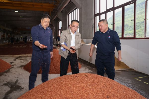 爱茅台封面