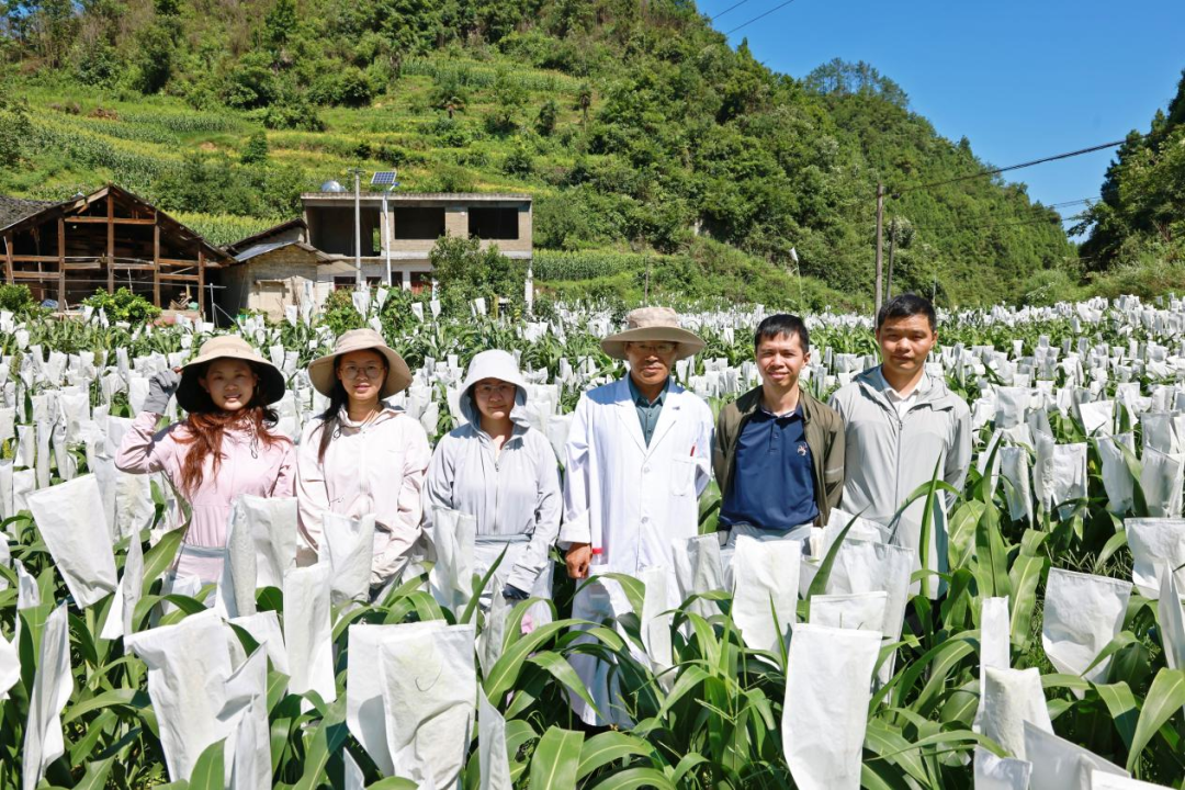 【回眸2025】科创赋能 酿就茅台新篇