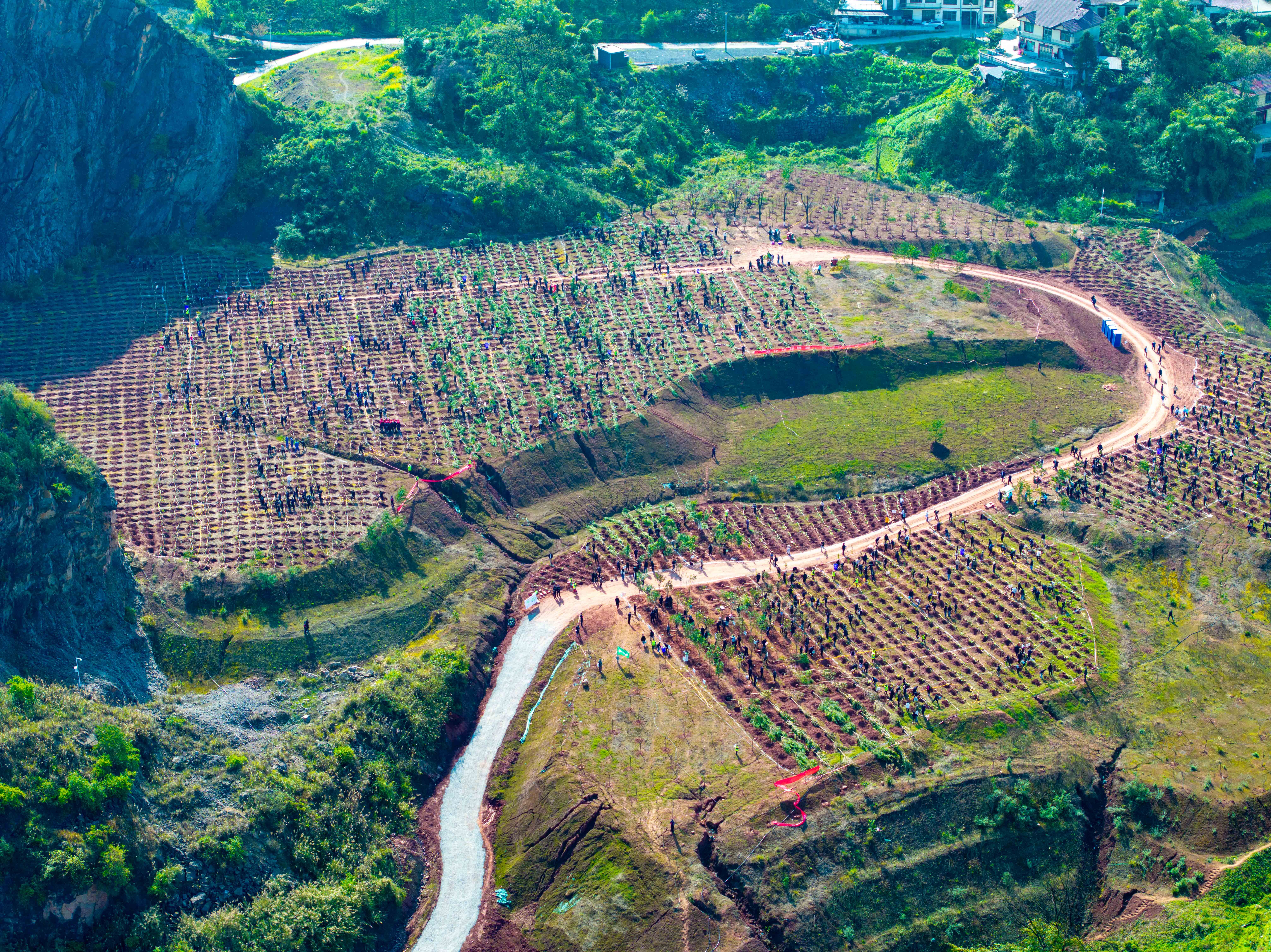 三省同心绿 一脉共酒香 2026年“中国茅台·国之栋梁”生态守护公益行动启动