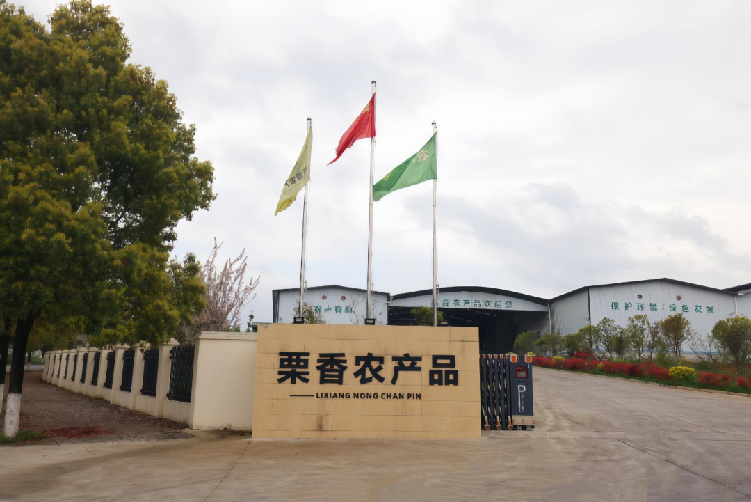 【走进供应商】贵州栗香：把“小辅料”做成“大事业”