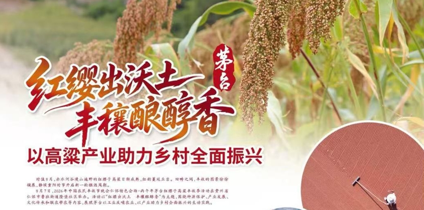 人民日报：红缨出沃土 丰穰酿醇香 以高粱产业助力乡村全面振兴