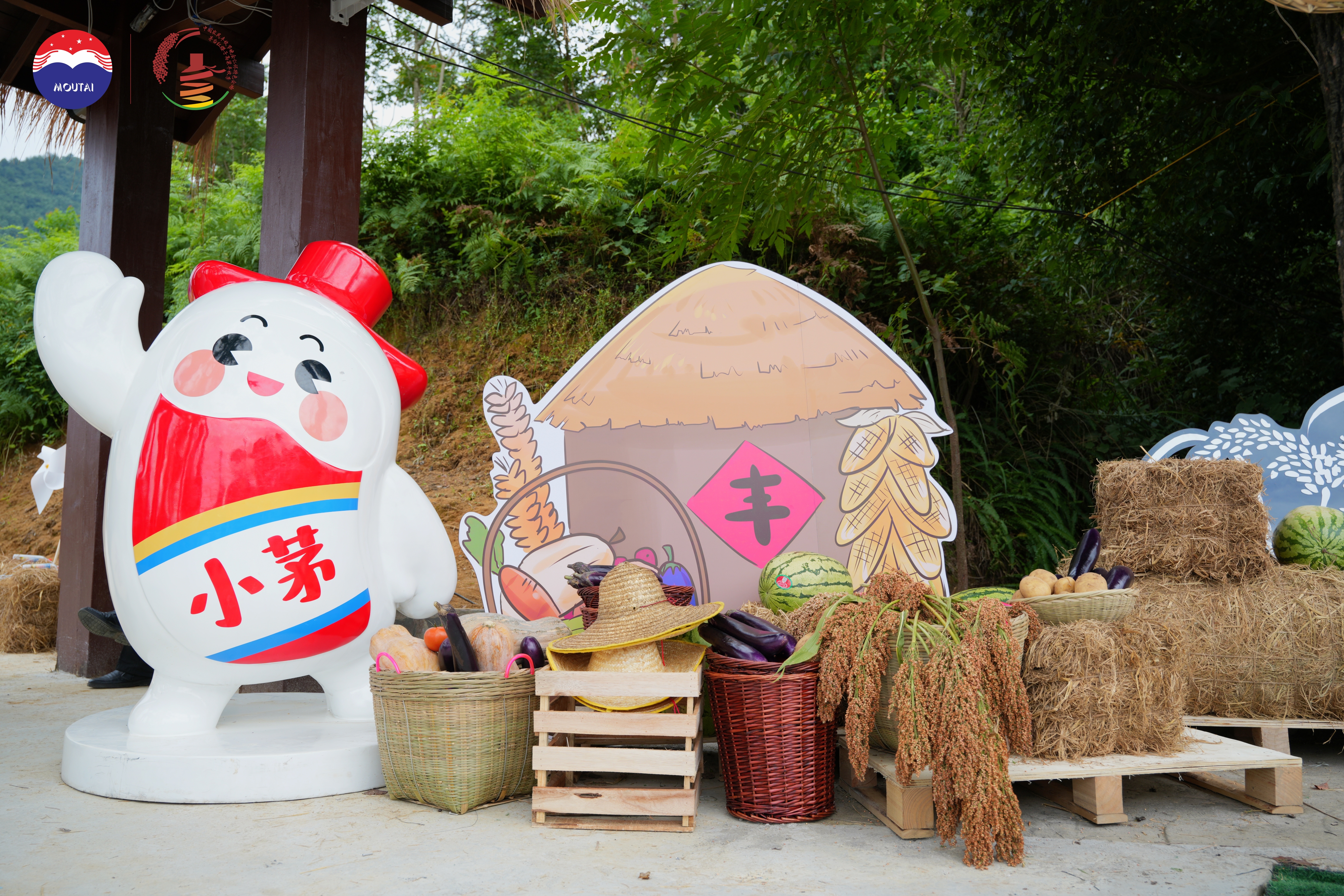 在“红缨市集”，解锁高粱多重精彩